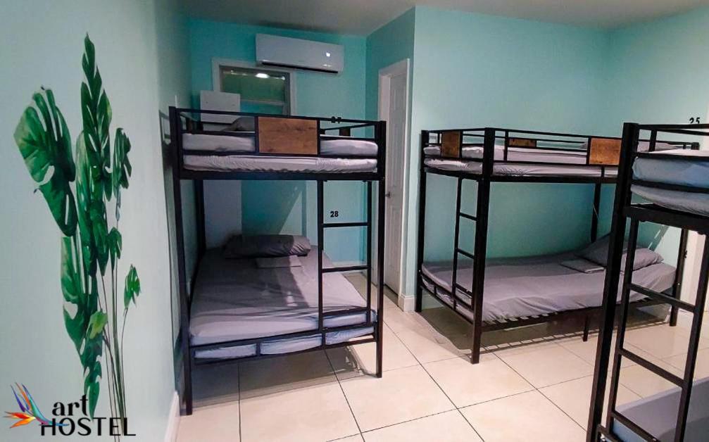 Bed in 6-Bed Mixed Dormitory Room