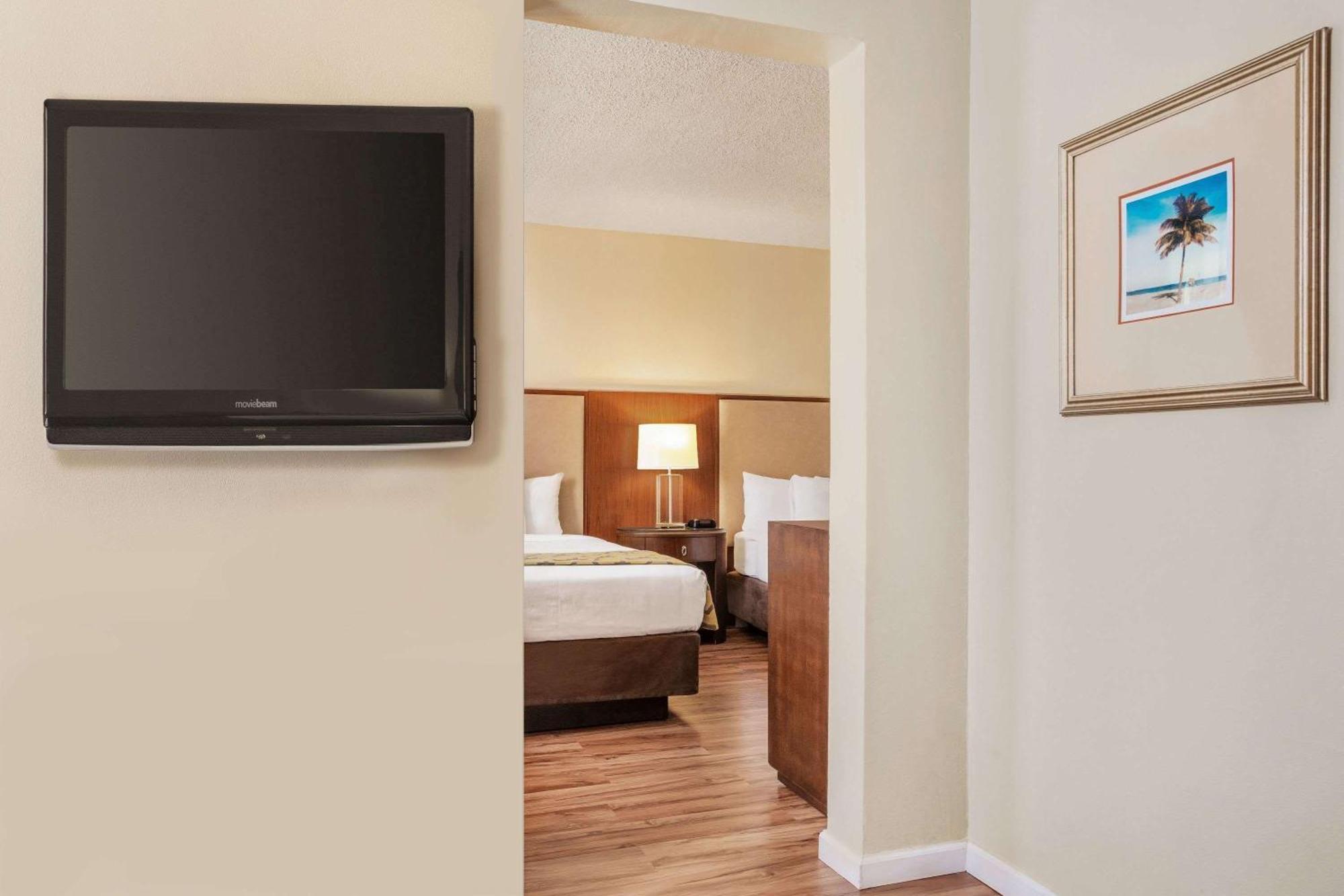 Studio Suite with Two Double Beds - Non-Smoking,1276358278:JPEG