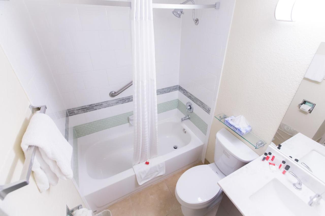 Comfort King Room,769249279:JPEG