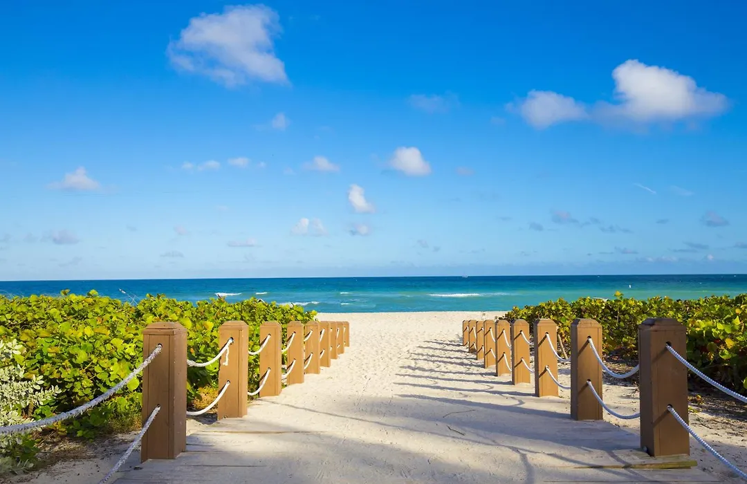 Oceanview Private Condo At 1 Hotel & Homes -1015-1