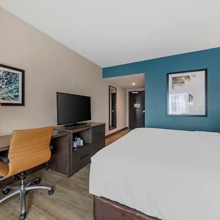 Comfort Inn & Suites Miami International Airport-3