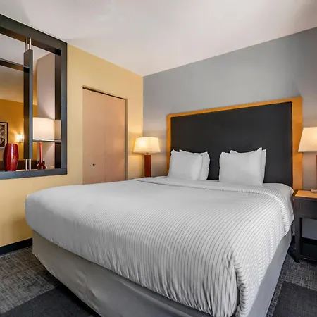 Cambria Hotel Ft Lauderdale, Airport South & Cruise Port-3