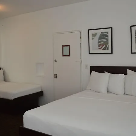 Island House South Beach (Adults Only)-3