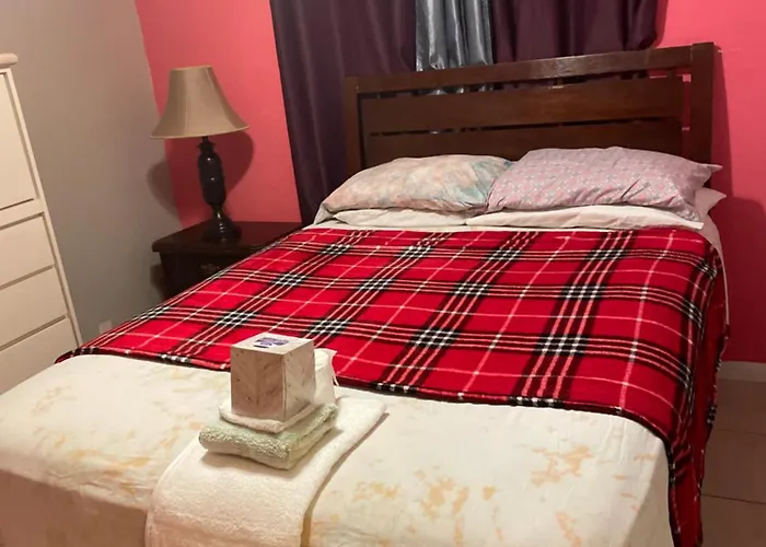 Cabin Rentals in Tamarac