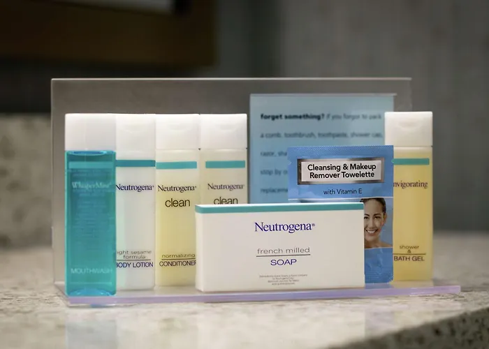 St. Petersburg Dog Friendly Hotels