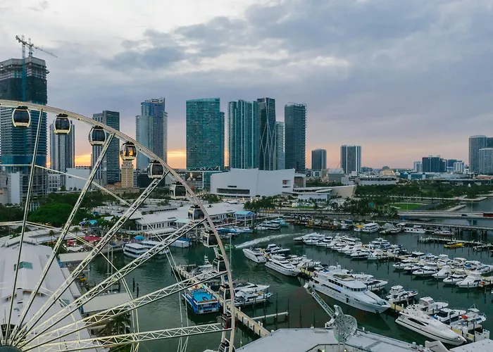 Miami Hotels near 